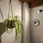 Napoca Ultracentral Loft Apartment Cluj-Napoca