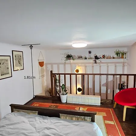 Apartman Napoca Ultracentral Loft Kolozsvár