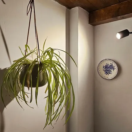 Napoca Ultracentral Loft Διαμέρισμα Κλουζ-Ναπόκα