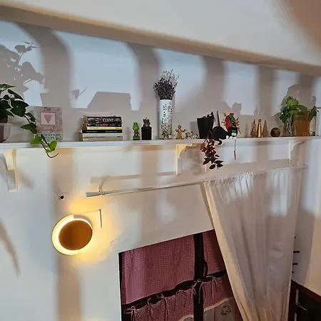 Napoca Ultracentral Loft Kluž