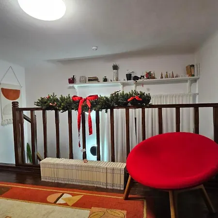 Napoca Ultracentral Loft Apartment