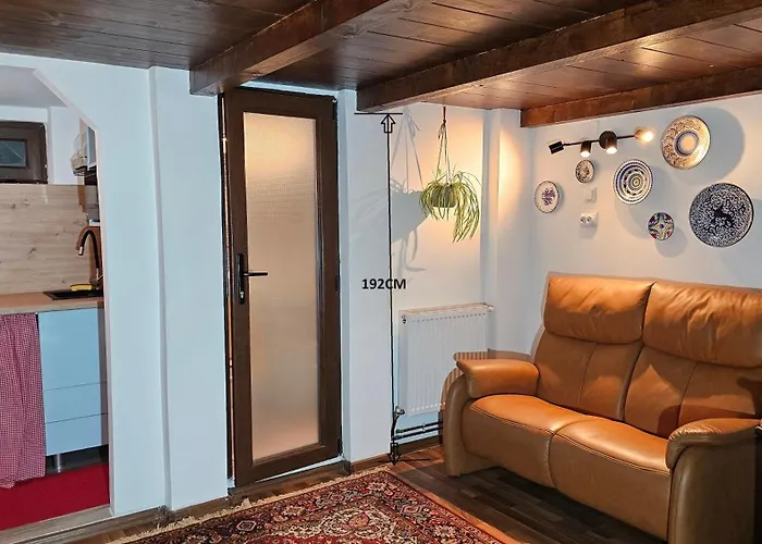 Napoca Ultracentral Loft