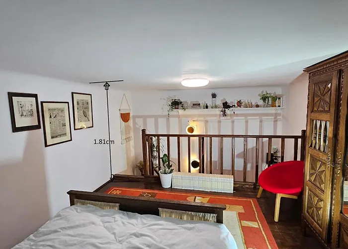 Lägenhet Napoca Ultracentral Loft Cluj-Napoca