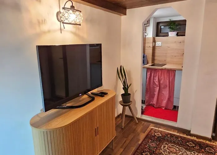 Napoca Ultracentral Loft