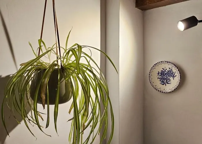 Napoca Ultracentral Loft Lägenhet Cluj-Napoca